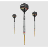 Precise180 - Steeldarts Ricardo Pietreczko - 21gr.