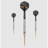 Precise180 - Steeldarts Ricardo Pietreczko - 25gr.