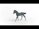 EAN 4059433461106 - schleich HORSE CLUB 13944 figura de juguete para niños