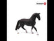 EAN 4059433083438 - schleich HORSE CLUB 13927 figura de juguete para niños