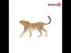 EAN 4005086147461 - schleich Vida Salvaje 14746 figura de juguete para niños