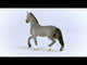 EAN 4059433578286 - schleich HORSE CLUB 13956 figura de juguete para niños
