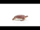 EAN 4059433792460 - schleich Vida Salvaje 14876 figura de juguete para niños