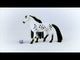 EAN 4059433652139 - schleich HORSE CLUB Sofia’s Beauties 42622 set de juguetes