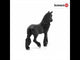 EAN 4059433013619 - schleich HORSE CLUB 13906 figura de juguete para niños