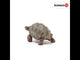 EAN 4055744033667 - schleich Vida Salvaje 14824 figura de juguete para niños