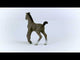 EAN 4059433578736 - schleich HORSE CLUB 13957 figura de juguete para niños