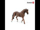 EAN 4059433013626 - schleich HORSE CLUB 13909 figura de juguete para niños
