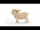 EAN 4059433789330 - schleich FARM WORLD 13970 figura de juguete para niños