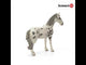 EAN 4059433039633 - schleich HORSE CLUB 13910 figura de juguete para niños