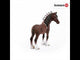 EAN 4005086138087 - schleich FARM WORLD 13808 figura de juguete para niños