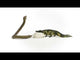EAN 4059433522647 - schleich Vida Salvaje 42559 set de juguetes