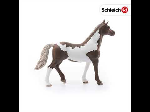 EAN 4055744029417 - schleich HORSE CLUB 13885 figura de juguete para niños