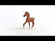 EAN 4059433432977 - schleich HORSE CLUB 13947 figura de juguete para niños