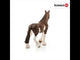 EAN 4005086138094 - schleich FARM WORLD 13809 figura de juguete para niños
