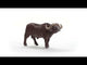 EAN 4059433789460 - schleich Vida Salvaje 14872 figura de juguete para niños