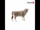 EAN 4055744020568 - schleich FARM WORLD 13874 figura de juguete para niños