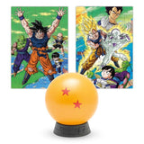 Puzzle Bola 2 Estrella Dragon Ball Z 98pzs