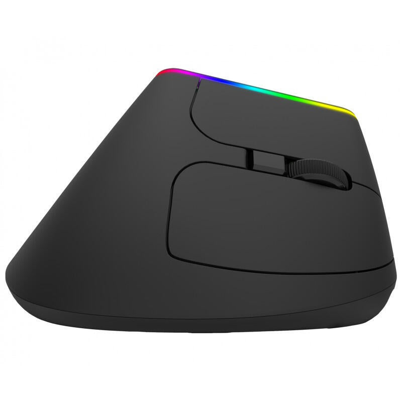 Raton Ordissimo Inalambrico Vertical Ergonomico