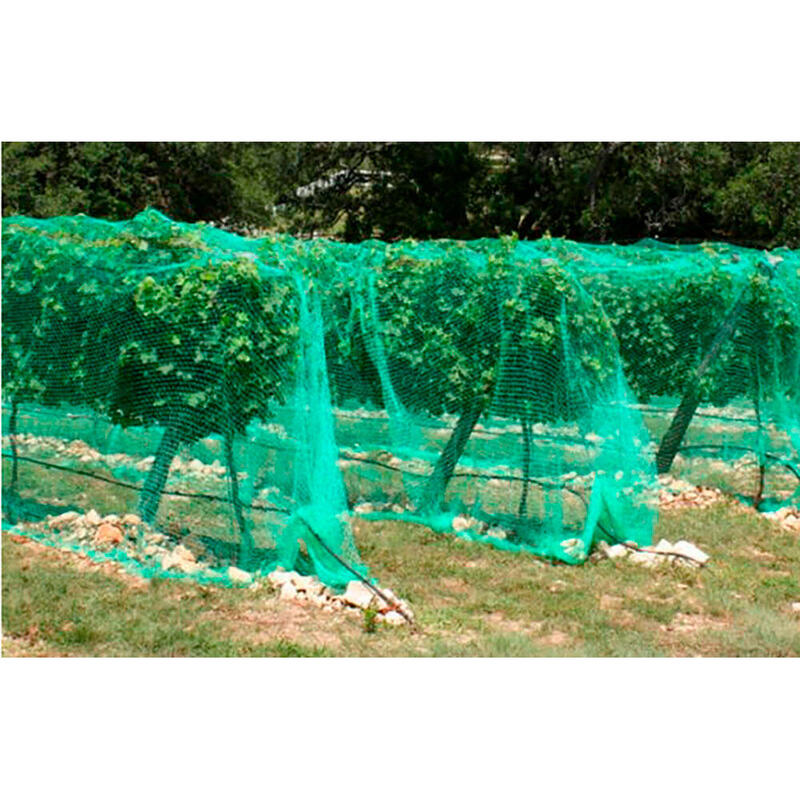 Red Anti-Pajaros Para Arboles Frutales 4x5m