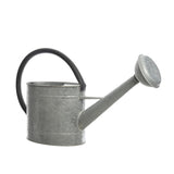 Regadera De Zinc 5 Litros Solo Uso Decorativo