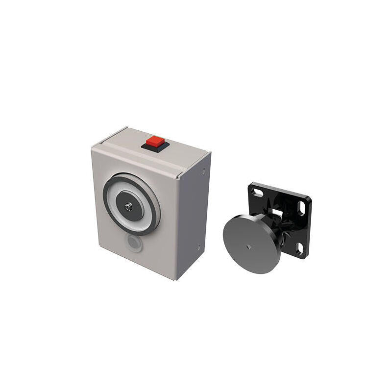 Retenedor Electromagnético De Puerta Para Montaje En Pared 50kg Sewosy Vmpo245m