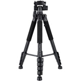 Rollei Compact Traveler Star S4