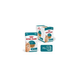 Royal Canin Fhn Cat Ageing 11+ Gravy 12x85g