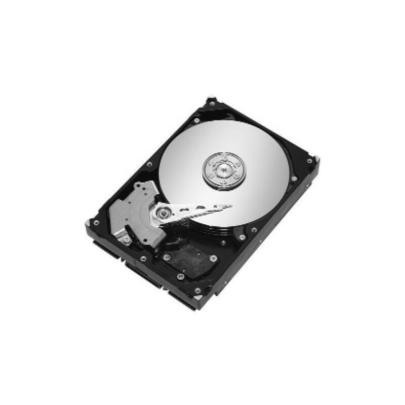 Seagate Nl35.1 Serie St3400832ns 400 Gb 88,9mm 24&Frasl;7 Refurbished