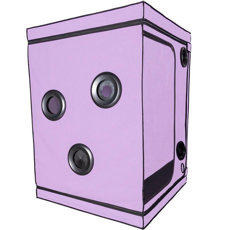 Secret Dome - Kink Club Cabina Scandale Morado