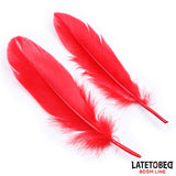 Set De 3 Piezas Antifaz, Plumas Y Esposas