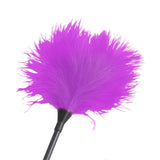 Set De Bondage Para Principiantes Starters 4 Piezas Púrpura