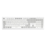 Sharkoon Officepal K30w, Teclado Blanco, Distribución De, Cúpula De Goma 4044951042340