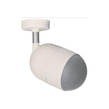 Sound Projector, Surface Mount