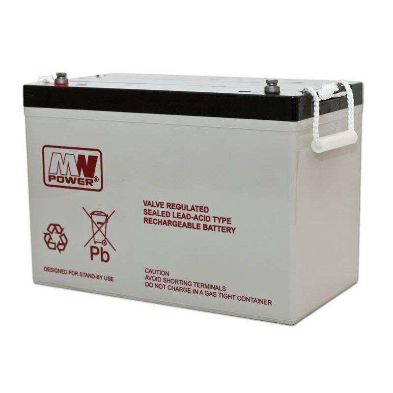 Standard Lead Acid Battery  12v 100ah - 215x173x330mm