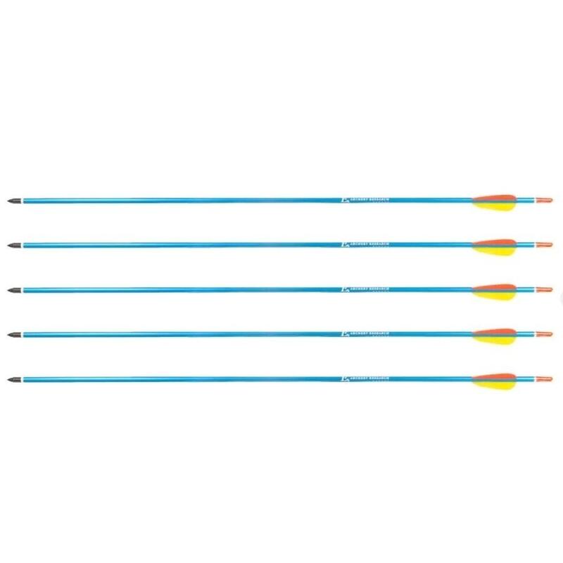 Poe Lang Target 30" D-016-Bflechas De Aluminio 5 Piezas Azul