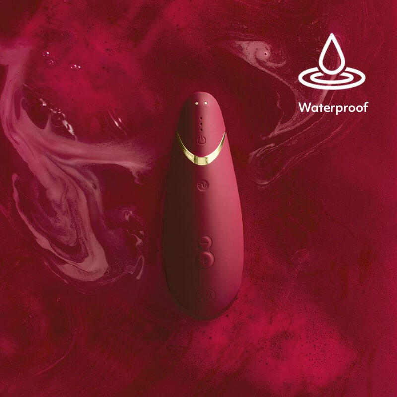 Succionador  Womanizer Premium 2 Sucker Vibrator