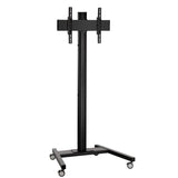 T 1522b, Mobile Display Trolley, Single-Pole, H:150 7953100