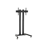 Td 2064b, Mobile Display  Trolley, Double-Pole, H:200