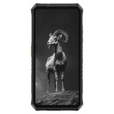 Ulefone Armor 28 Pro 5g 16gb/512gb Negro Rugged