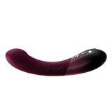 Vibrador De Bajos Y Altos 2 Motores Kurve