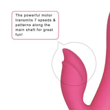 Vibrador Dreamer Ii Usb Rose Red