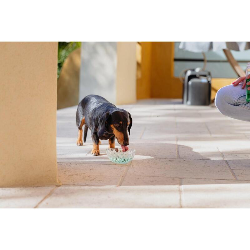 Virbac Vet Aquadent Plyn Do Higieny Jamy Ustnej 250ml