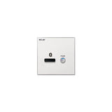 Wall Panel Bluetooth Receiver